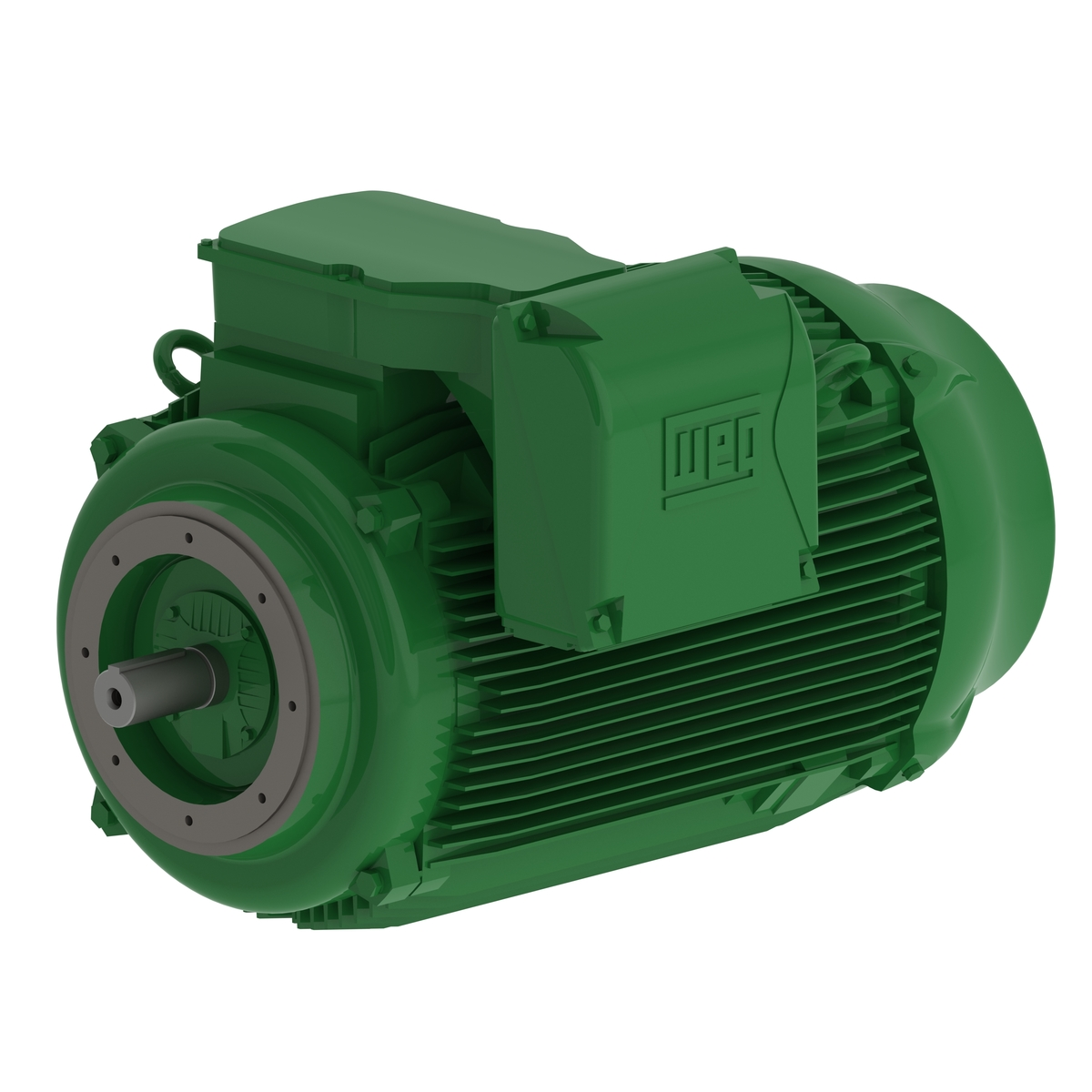 Green industrial electric motor with cooling fins and a protruding shaft on the left. The top-mounted terminal box is visible.